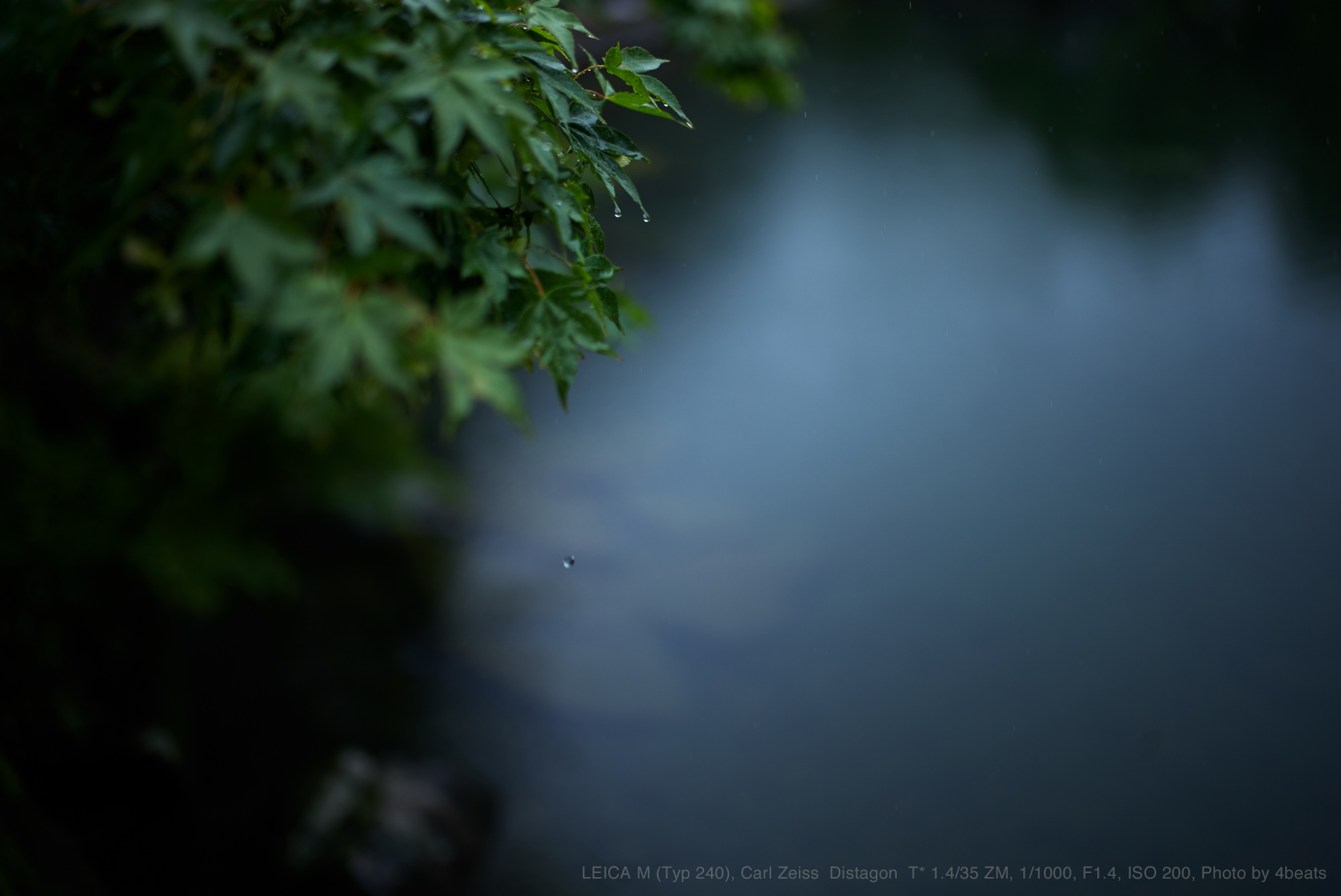 LEICA M (Typ 240), Carl Zeiss  Distagon  T* 1.4/35 ZM, 1/1000, F1.4, ISO 200, Photo by 4beats